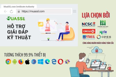 Signtool: Lỗi No certificates were found that met all the given criteria